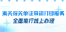 海关报关单证查询打印服务全面推行线上办理