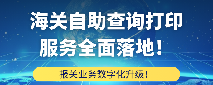 报关业务数字化升级！海关自助查询打印服务全面落地